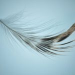 Leichtigkeit, Yoga, Psychotherapie, Flow, Stress, Erschöpfung
