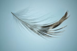 Leichtigkeit, Yoga, Psychotherapie, Flow, Stress, Erschöpfung